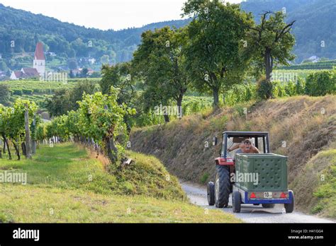 Nu Dorf Ob Der Traisen Vineyard Church Tractor With Wine Box Trailer