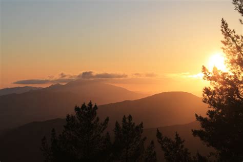 Silhouette Photography of Trees and Mountain · Free Stock Photo