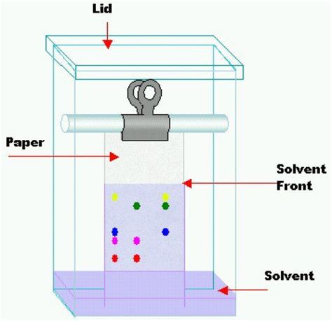 Chromatography Diagram Stationary Phase Chromatography Phase