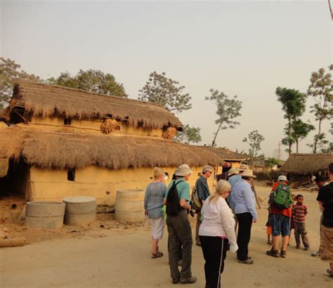 Tharu Village Tour Things To Do Bardia National Park