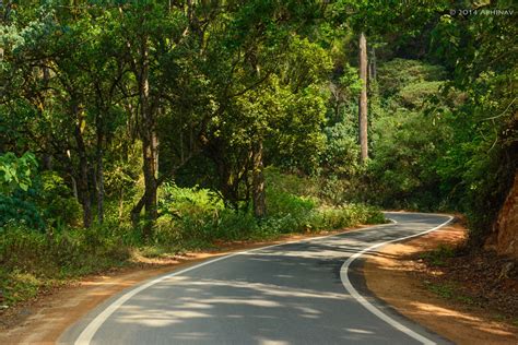 Munnar Gap Road | Abhinav Raveendran Photography