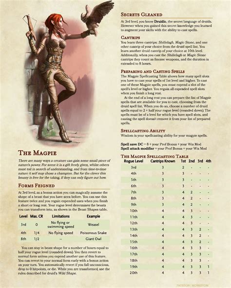 Rogue Subclass The Magpie Add A Touch Of Druid To Your Rogue In Dandd 5e