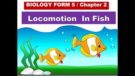 Biology Form 5 Chapter 2 21 Locomotion In Fish Youtube