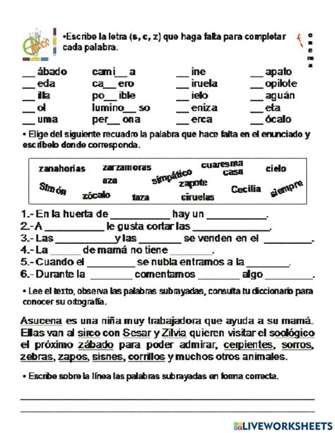 Ejercicio Interactivo De Uso C S Z Ejercicios Interactivos Cuadernos