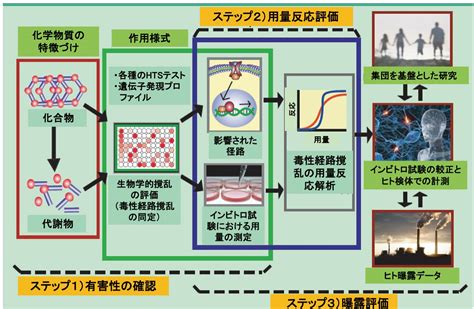 環境汚染物質の生体への影響16 ヒ素 東京化学同人 化学 Sanignaciogobmx