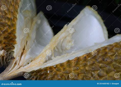 Durian Peel Surface Texture Pattern Royalty Free Stock Image