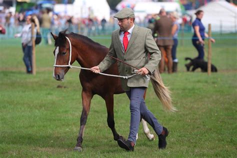 Best Photos From The Romsey Show Daily Echo