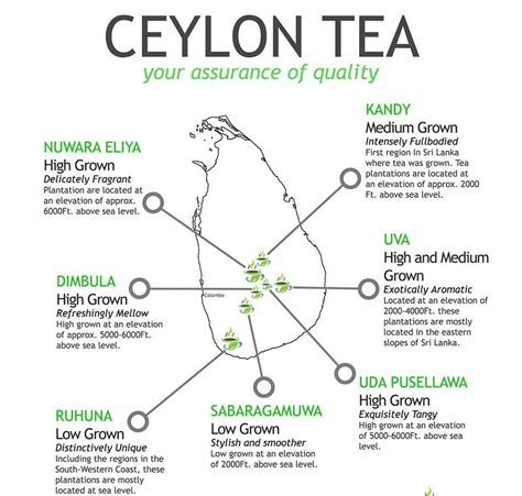 Tea Regions in Sri Lanka - Kanlo Tea