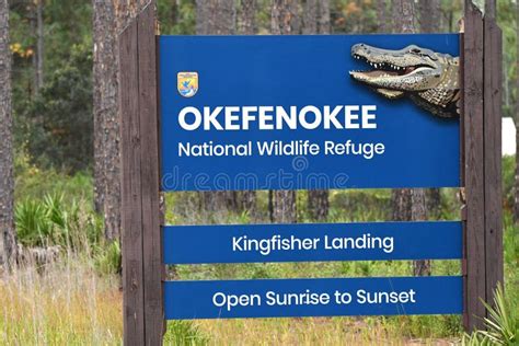 Kingfisher Landing Okefenokee Swamp National Wildlife Refuge Georgia