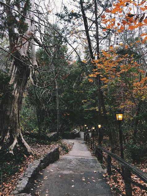 natural bridge trail  stocksy contributor tina crespo stocksy