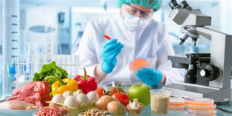 Master Of Science Food Science And Technology Curtin University