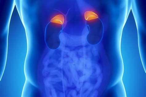 Adrenal Gland Tumor Symptoms