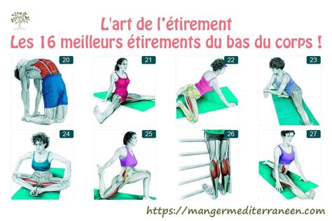 Lart de létirement Les 16 meilleurs étirements du bas du corps