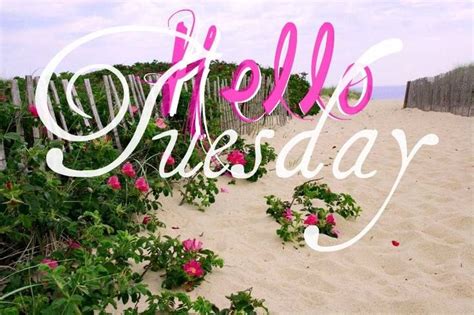 Happy Tuesday Coastal Lovers ~ Tuesday Morning Happy Tuesday Weekday