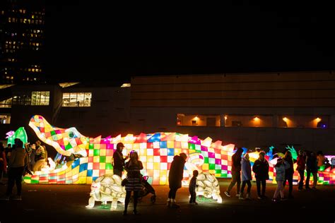 This Interactive Winter Lantern Festival Is Leaving The DMV Area