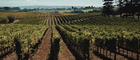 girls getaway guide  sonoma county girlfriend weekend