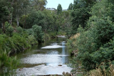 Anglers Rest