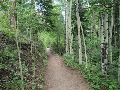 Hiking Trail in Rocky Mountain National Park, Colorado | Rocky mountain ...