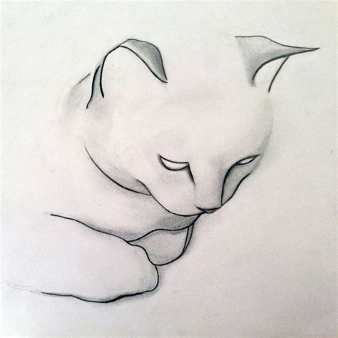 Pencil Cat Drawing By Saatchi Online Artist Kellas Campbell