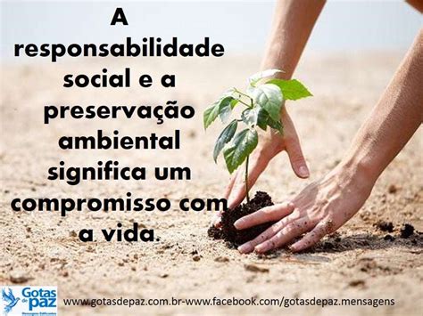 A responsabilidade social e a preservação ambiental significa um