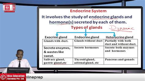 Endocrine System Part For Ssc Railway Cet Dsssb Ssc Cgl Ssc Cpo Ssc