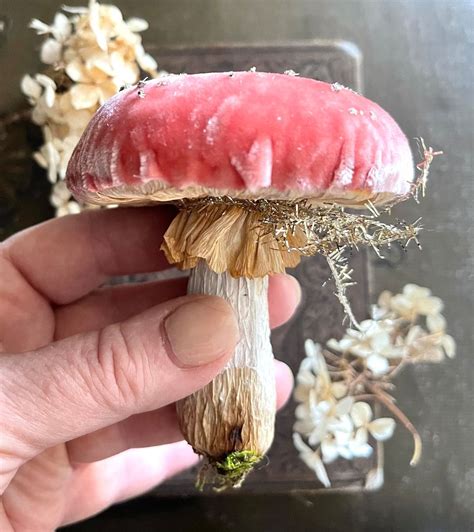 Pink Fairyland Silk Velvet Mushroom Ornament Made To Order Woodland