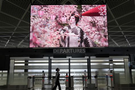 赴日自由行有望？日本政府擬進一步鬆綁觀光 國際 中央社