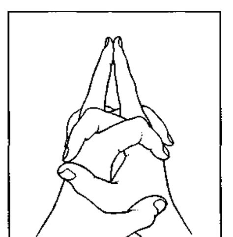 Mahasirs Mudka Mudra Learn Self Healing Techniques Online