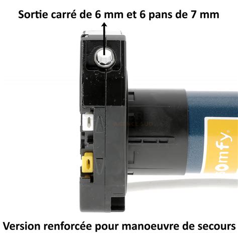 Moteur Somfy Rdo Csi R F So Servistores Sud