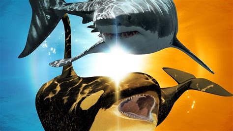 Killer Shark vs. Killer Whale Streaming: Watch & Stream Online via ...