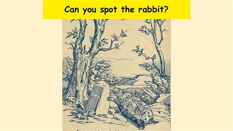 Only The Sharpest Eyes Can Spot The Rabbit Hidden On The Shore In 6