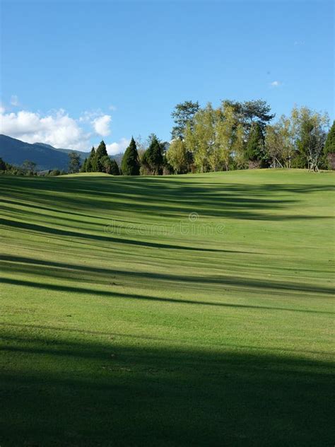 Un Campo De Golf Bajo Cielos Azules Y Nubes Blancas En Dali China Foto