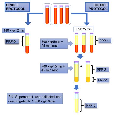 Do You Know How PRP Injection Is Prepared ? | Spine Dr 02379