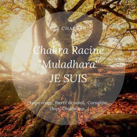 ᴛɪᴀ ᴊᴡʟs sur Instagram Chakra Racine Muladhara JE SUIS Les deux