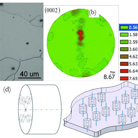 Typical Optical Microstructures Of Az31b Extruded Magnesium Alloy