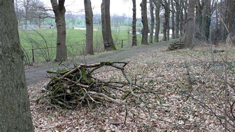 Sturmschaden Im Schlosspark Etelsen