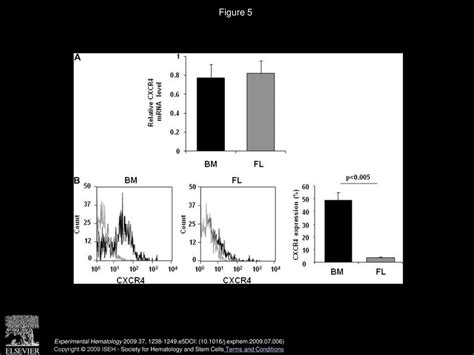 Critical Role For Erk1 2 In Bone Marrow And Fetal Liver Derived Primary Megakaryocyte