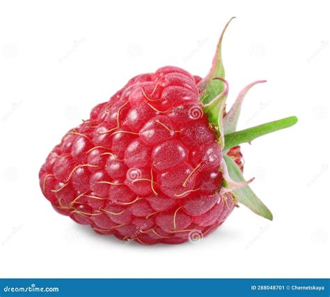 One Tasty Ripe Raspberry Isolated On White Stock Image Image Of Leaf