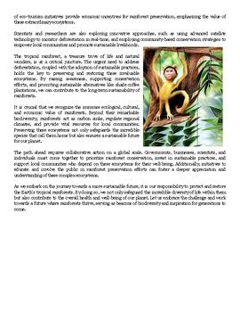 Rainforest Guided Reading Biology Ecology Article With Comprehension