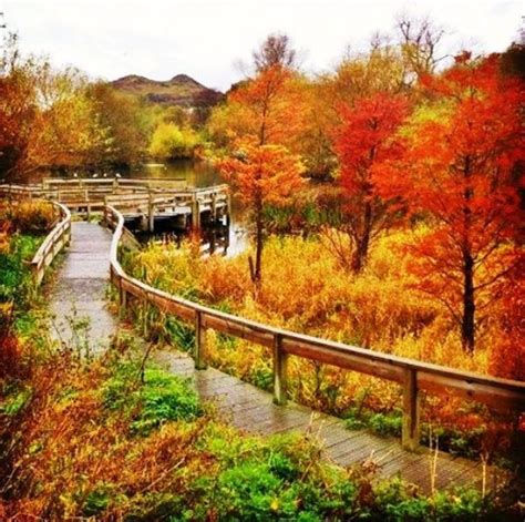 Autumn Walks In Edinburgh Autumn Walks London Apartment Steeplechase