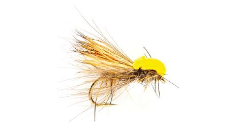 11 Best Caddisfly Patterns For The Fly Fisher Nymphs Dries With An