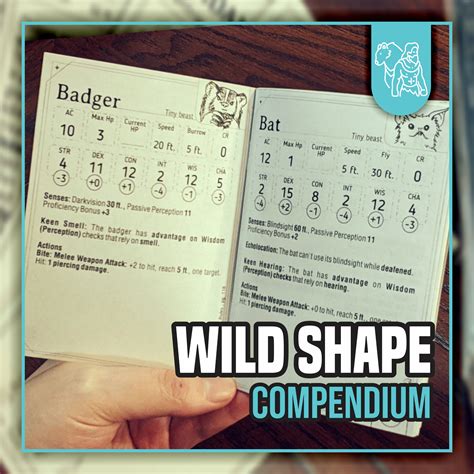druid wild shape animal list 5e 3