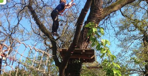 LAMUSE Accrobranche Au Parc Floral Le Seul Parcours D Accrobranche