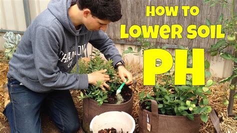 How To Lower Soil Ph For Blueberries Agricultural Sulfur Container