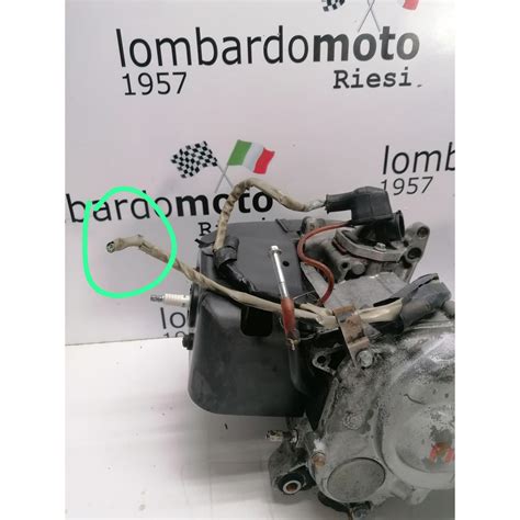 Blocco Motore Typhoon Nrg Ntt Piaggio Lombardo Moto Ricambi Moto