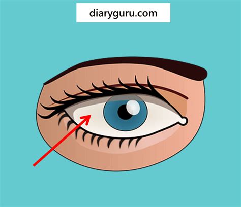 soal ipas kelas  melihat  cahaya diary guru