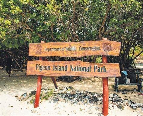 Treasure island: Sri Lanka’s Pigeon Island National Park - Amazing Sri ...