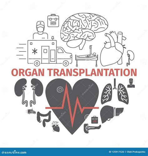 Bandera Del Trasplante Del órgano Muestras Del Vector Para Los Gráficos