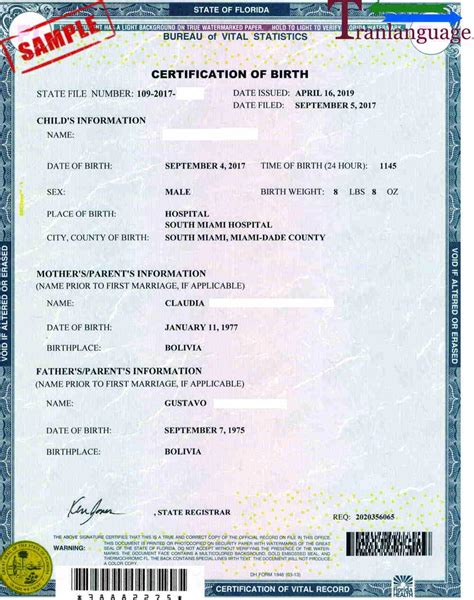 Free Birth Certificate Translation Template