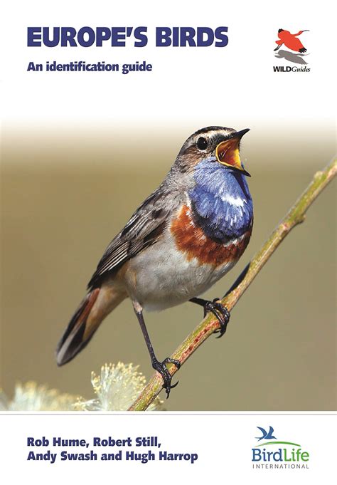 New Book Peterson Field Guide To Birds Of Northern Central America